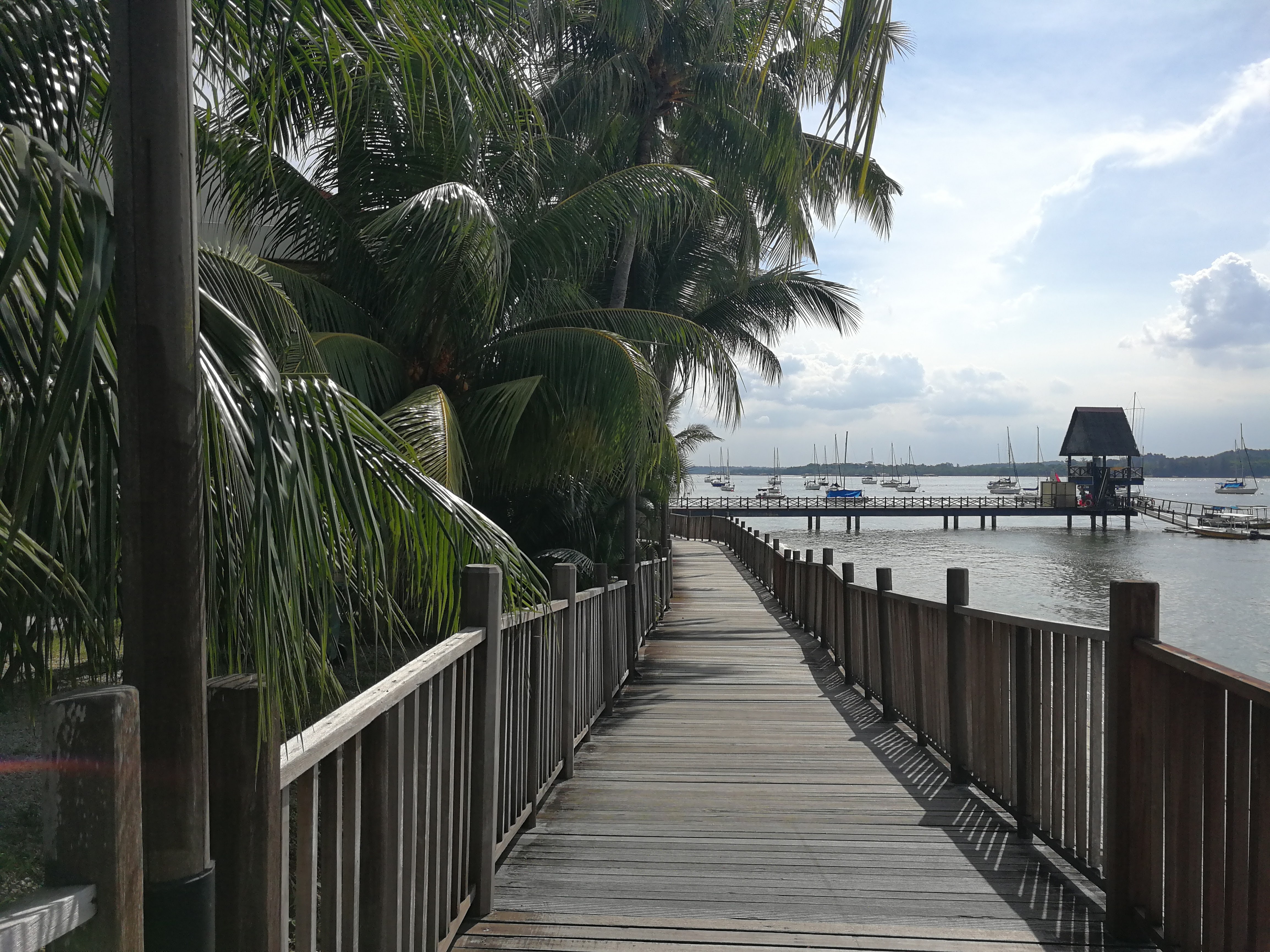 Changi Boardwalk